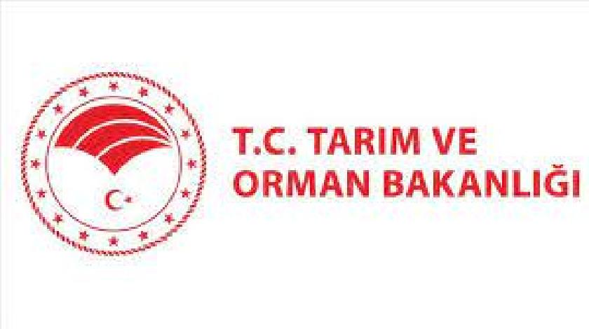 TARIM VE ORMAN BAKANLIĞI ŞEKER ITHALATI IÇIN ÇALIŞMA BAŞLATTI